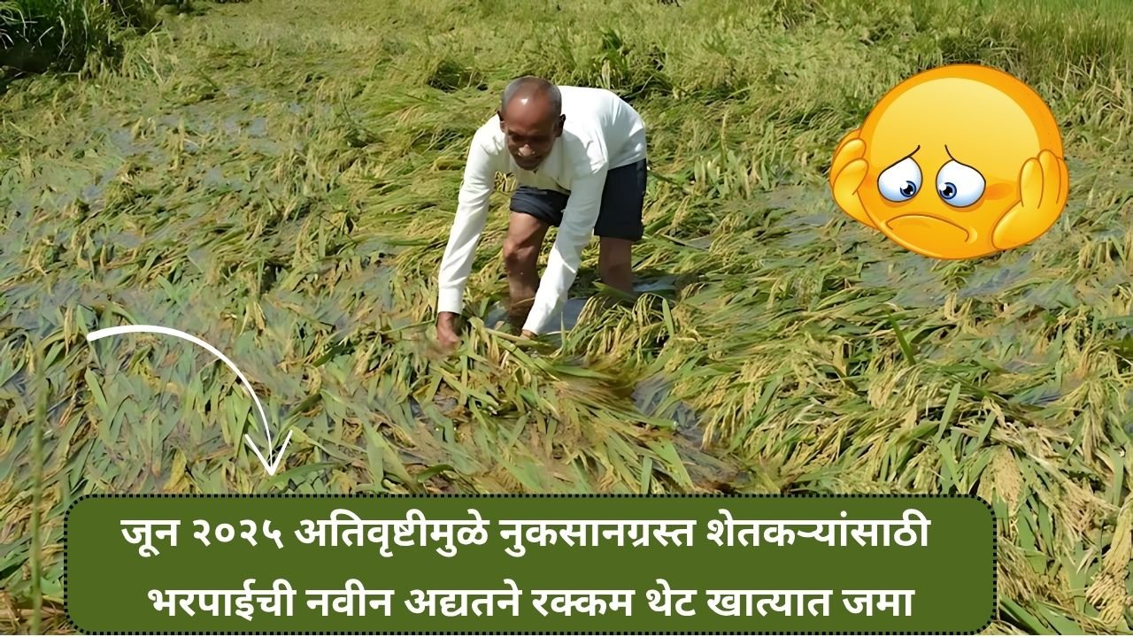 जून २०२५ अतिवृष्टीमुळे नुकसानग्रस्त शेतकऱ्यांसाठी भरपाईची नवीन अद्यतने रक्कम लवकरच थेट खात्यात जमा! Nuksan Bharpai Update